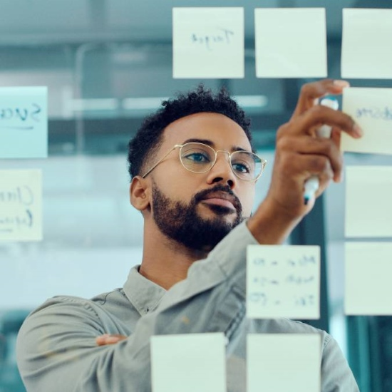 A person looking at a long-term goal board
